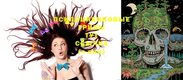 первитин Новодвинск
