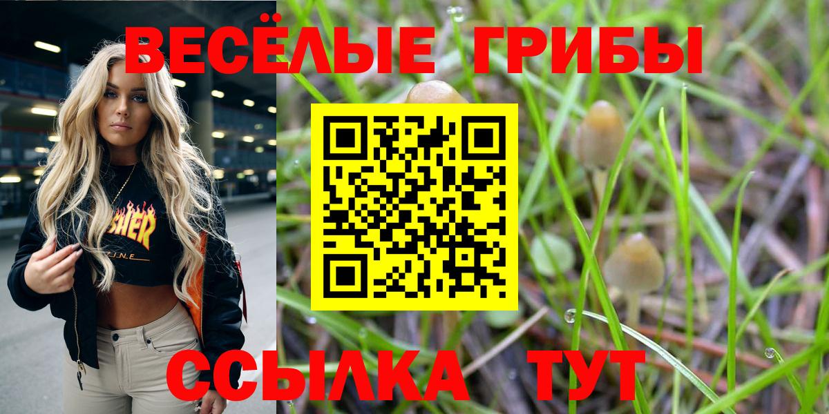 Балаково  Псилоцибиновые грибы MAGIC MUSHROOMS  как найти закладки  Вход с VPN 