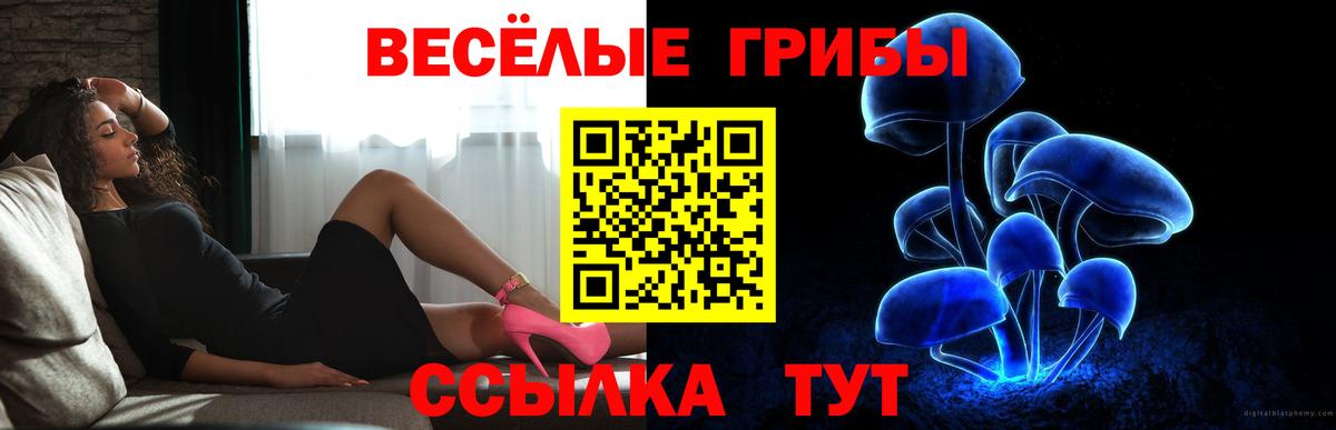 Галлюциногенные грибы Psilocybine cubensis Балаково