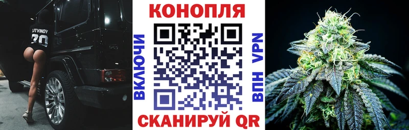 Конопля марихуана Балаково